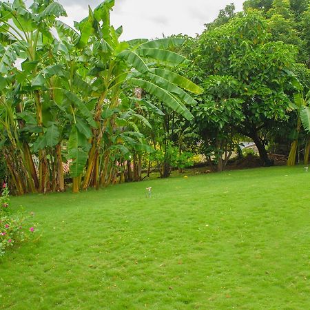 Hotel Fontana Managua Zewnętrze zdjęcie