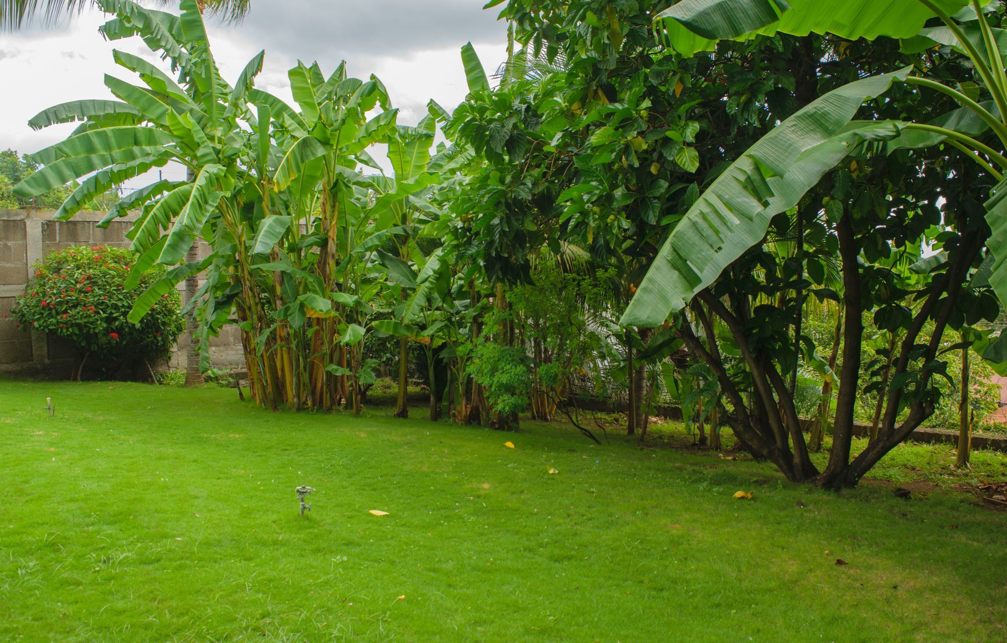 Hotel Fontana Managua Zewnętrze zdjęcie